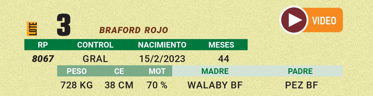 LOTE 03 - BRAFORD ROJO