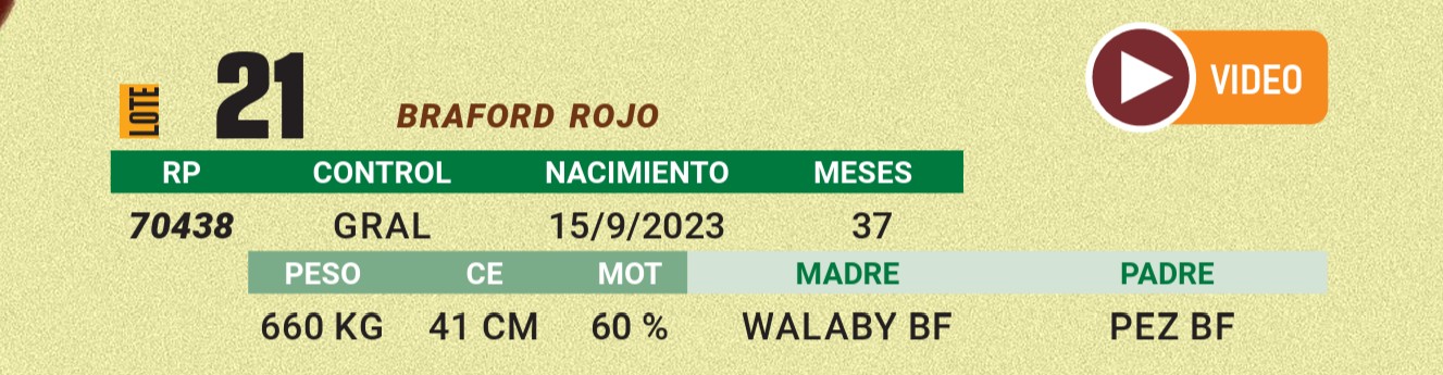 LOTE 21 - BRAFORD