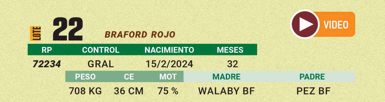 LOTE 22 - BRAFORD