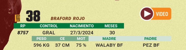 LOTE 38 - BRAFORD