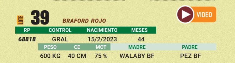LOTE 39 - BRAFORD