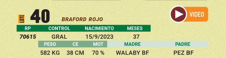 LOTE 40 - BRAFORD