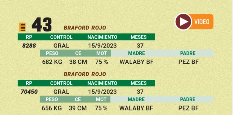 LOTE 43 - BRAFORD