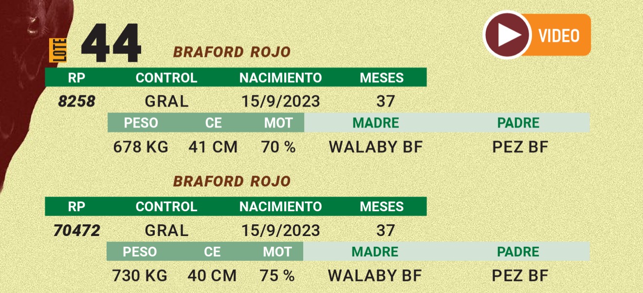 LOTE 44 - BRAFORD
