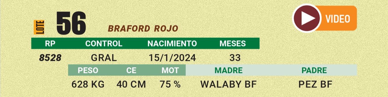 LOTE 56 - BRAFORD