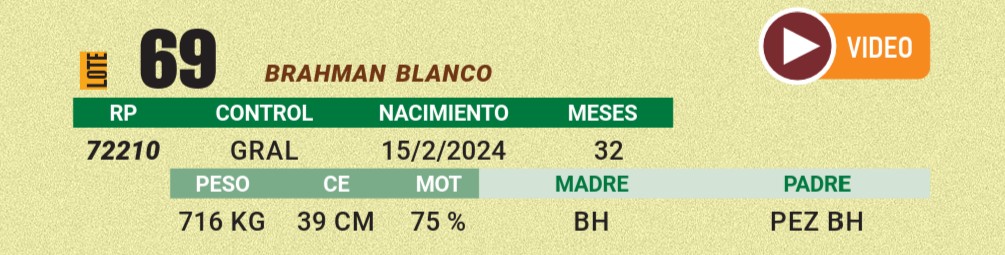 LOTE 69 - BRAHMAN BLANCO