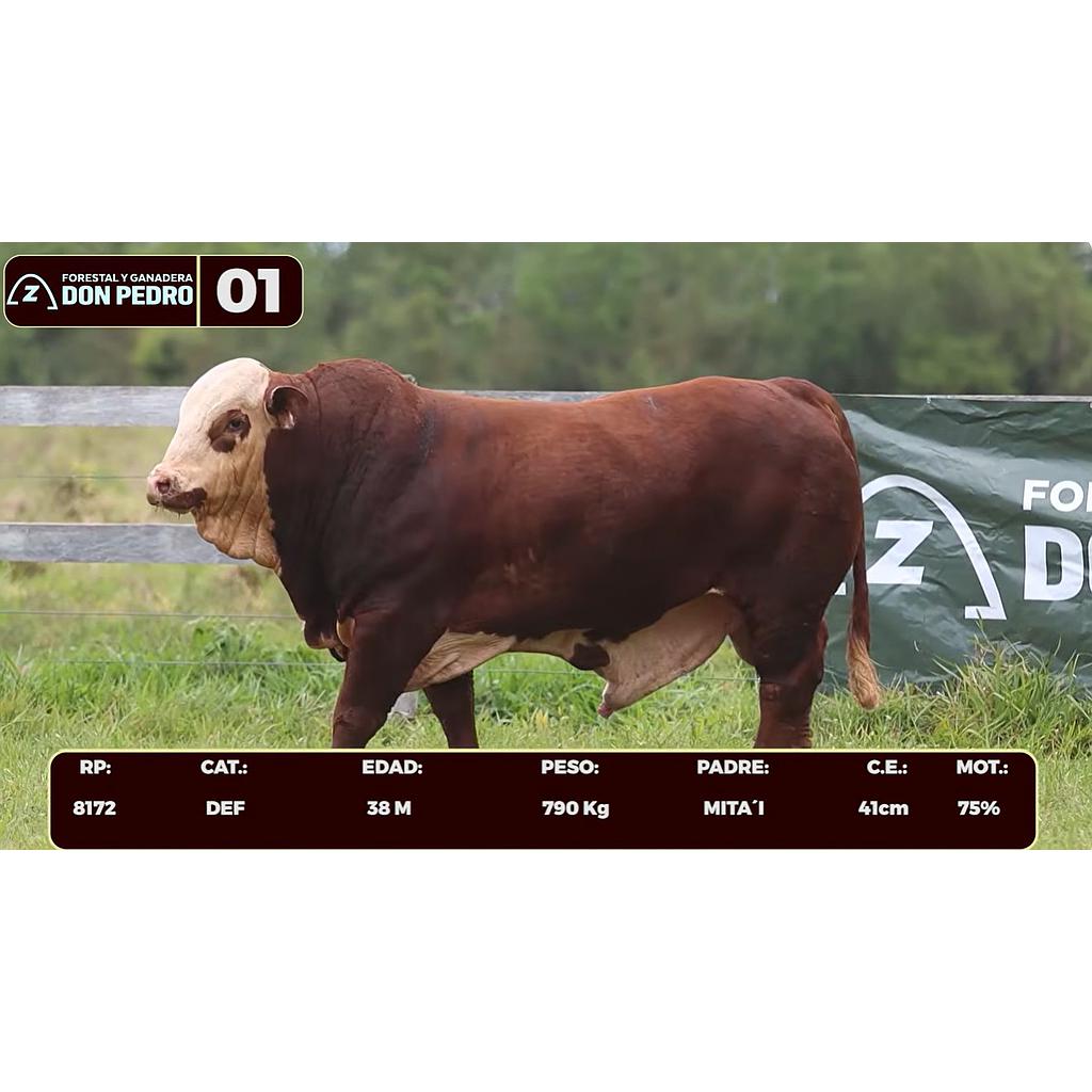 LOTE 01 - BRAFORD