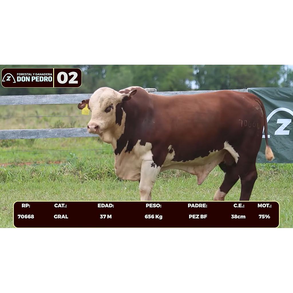 LOTE 02 - BRAFORD