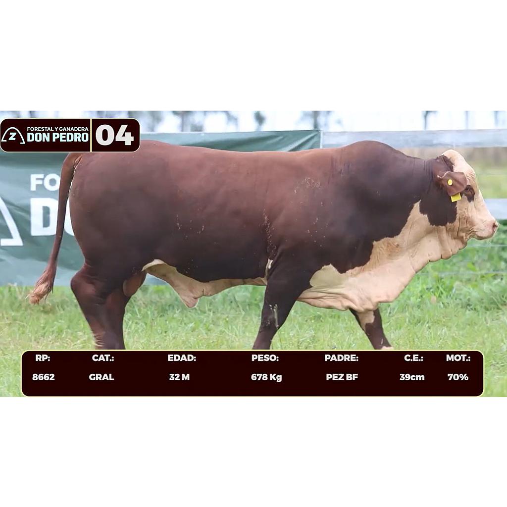 LOTE 04 - BRAFORD
