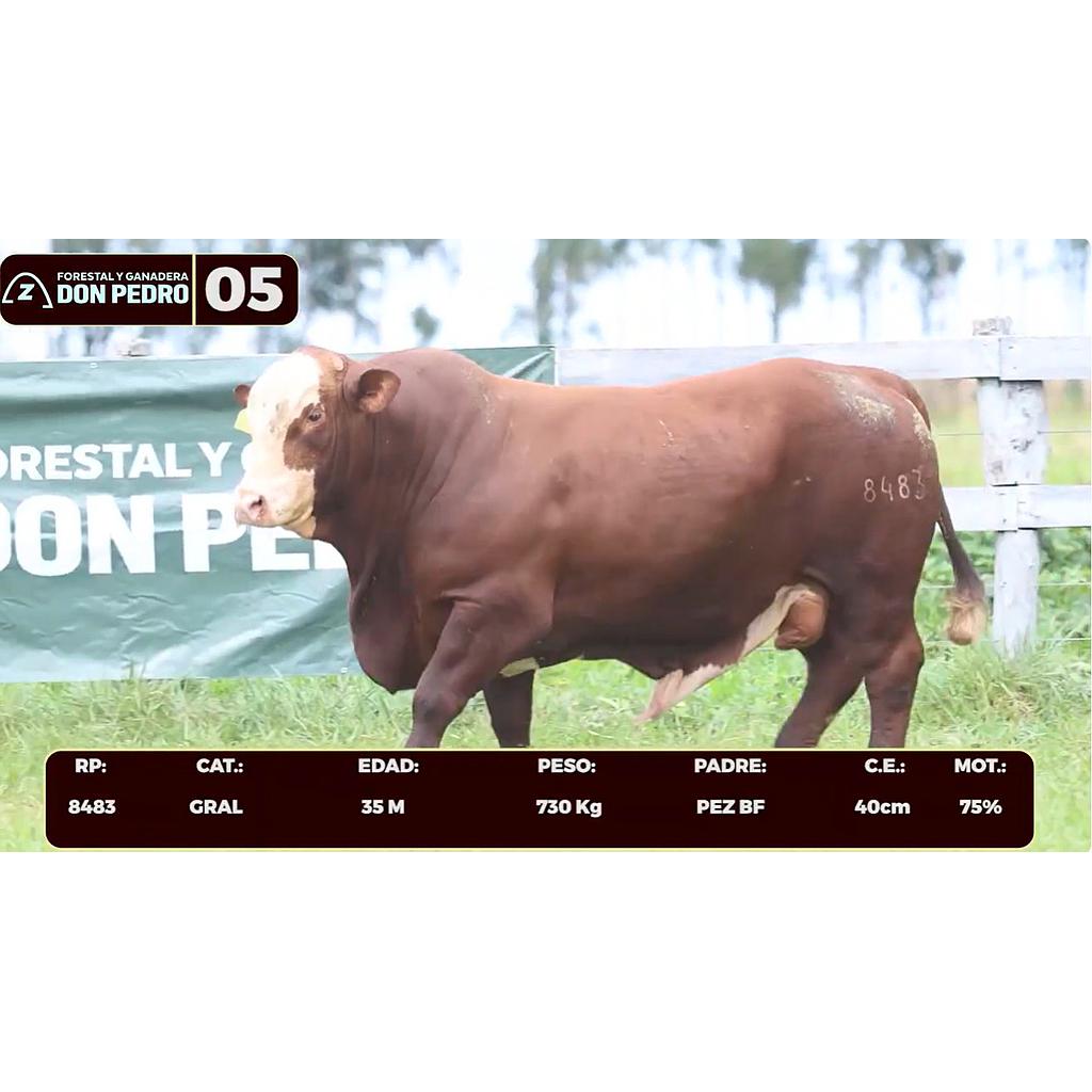 LOTE 05 - BRAFORD
