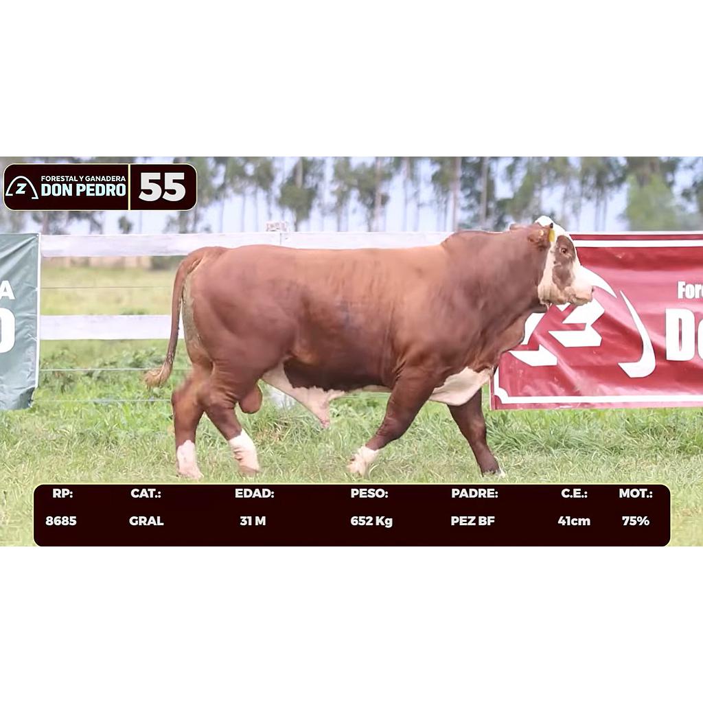 LOTE 55 - BRAFORD
