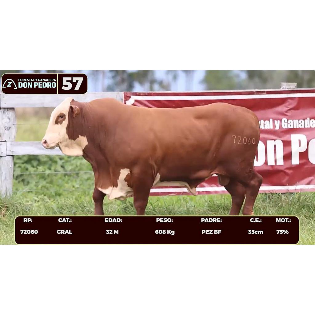 LOTE 57 - BRAFORD