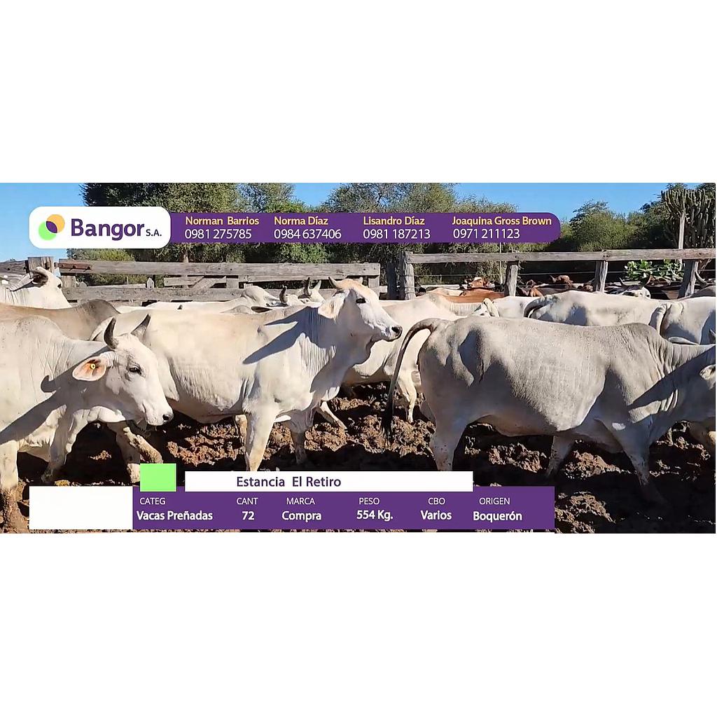Auction For INSP 2202 - VACAS PREÑADAS
