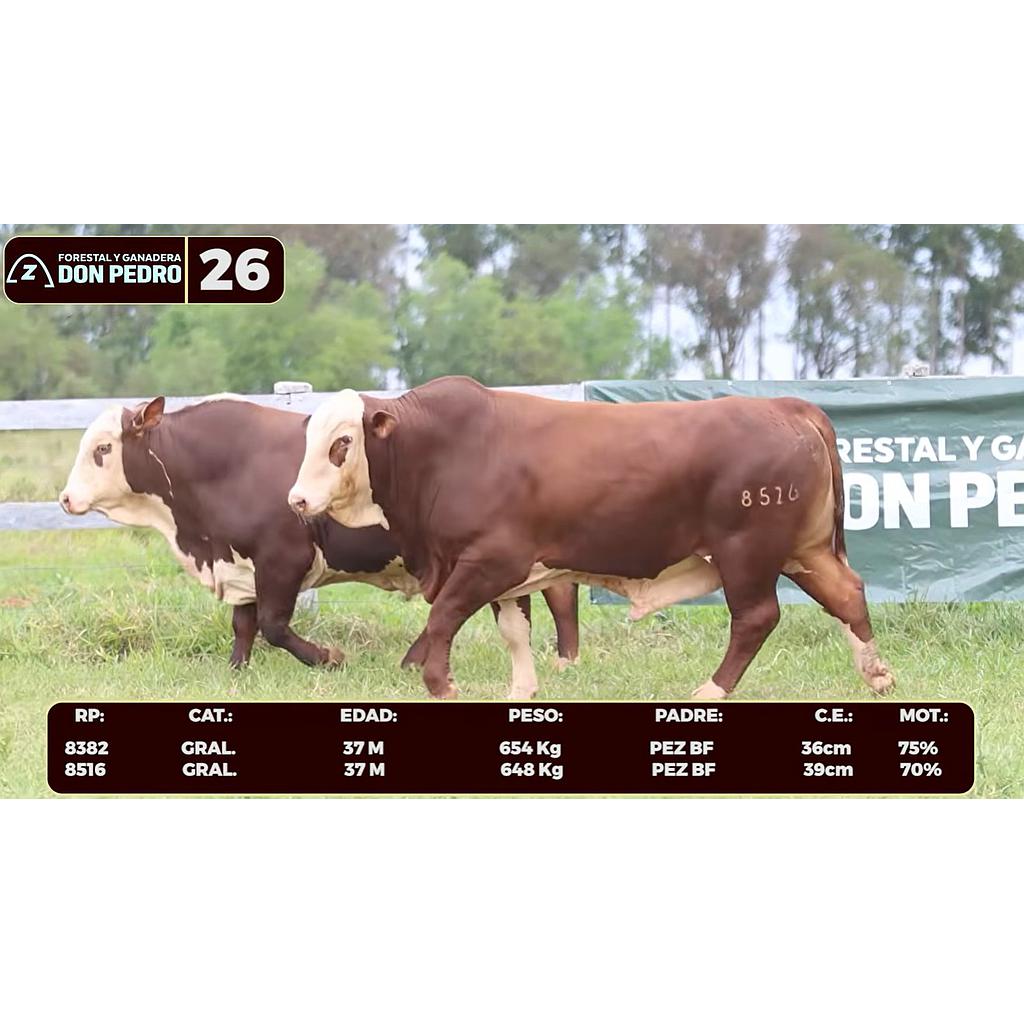 Auction For LOTE 26 - BRAFORD