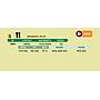 LOTE 11 - BRANGUS