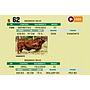 LOTE 62 - BRANGUS ROJO