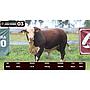 LOTE 03 - BRAFORD