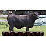LOTE 13 - BRANGUS NEGRO