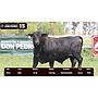LOTE 15 - BRANGUS NEGRO