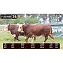 LOTE 26 - BRAFORD