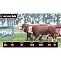 LOTE 44 - BRAFORD